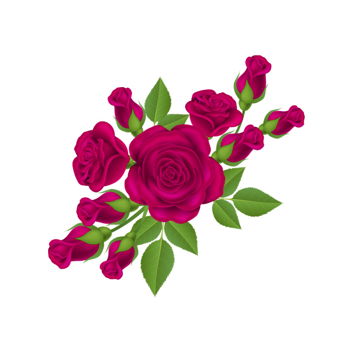 spray roses