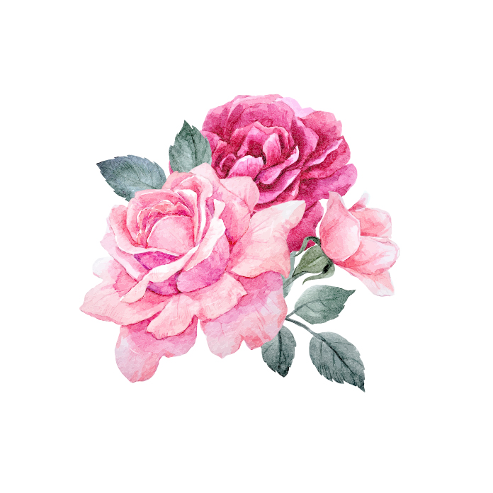 roses